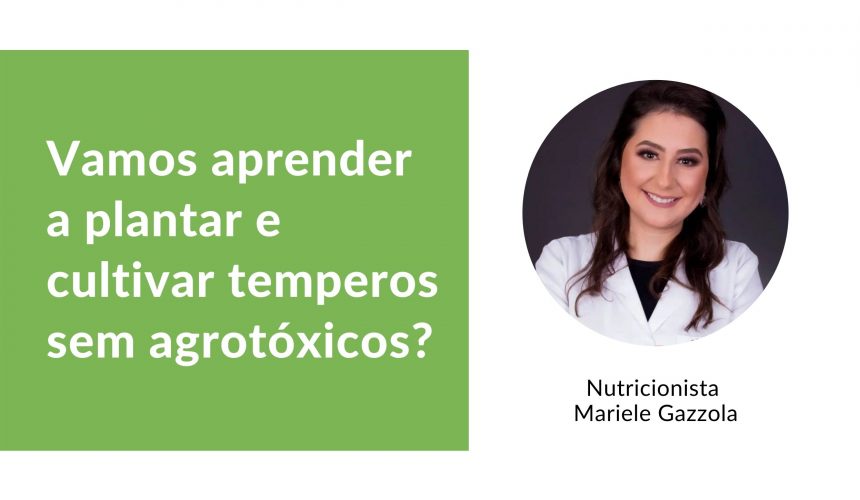 Vamos aprender a plantar e cultivar temperos sem agrotóxicos?