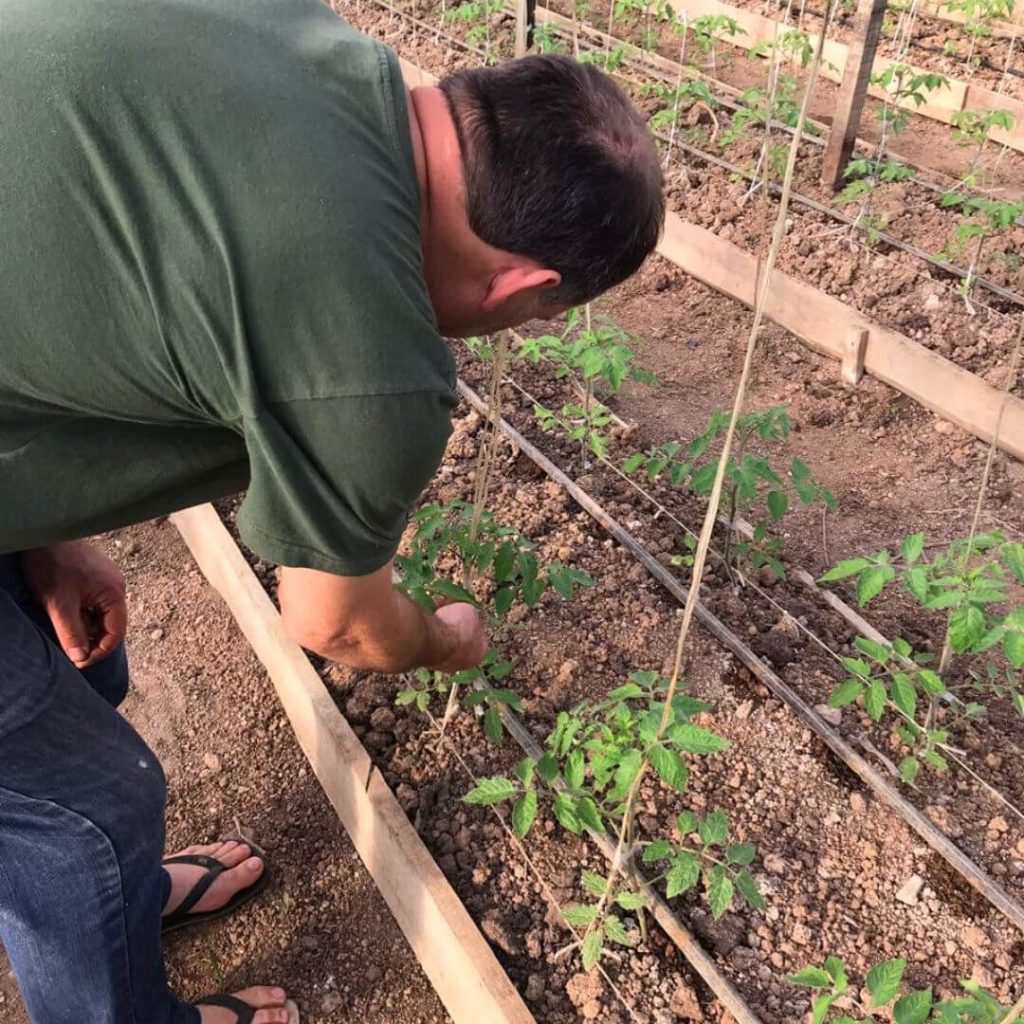 Homem plantando