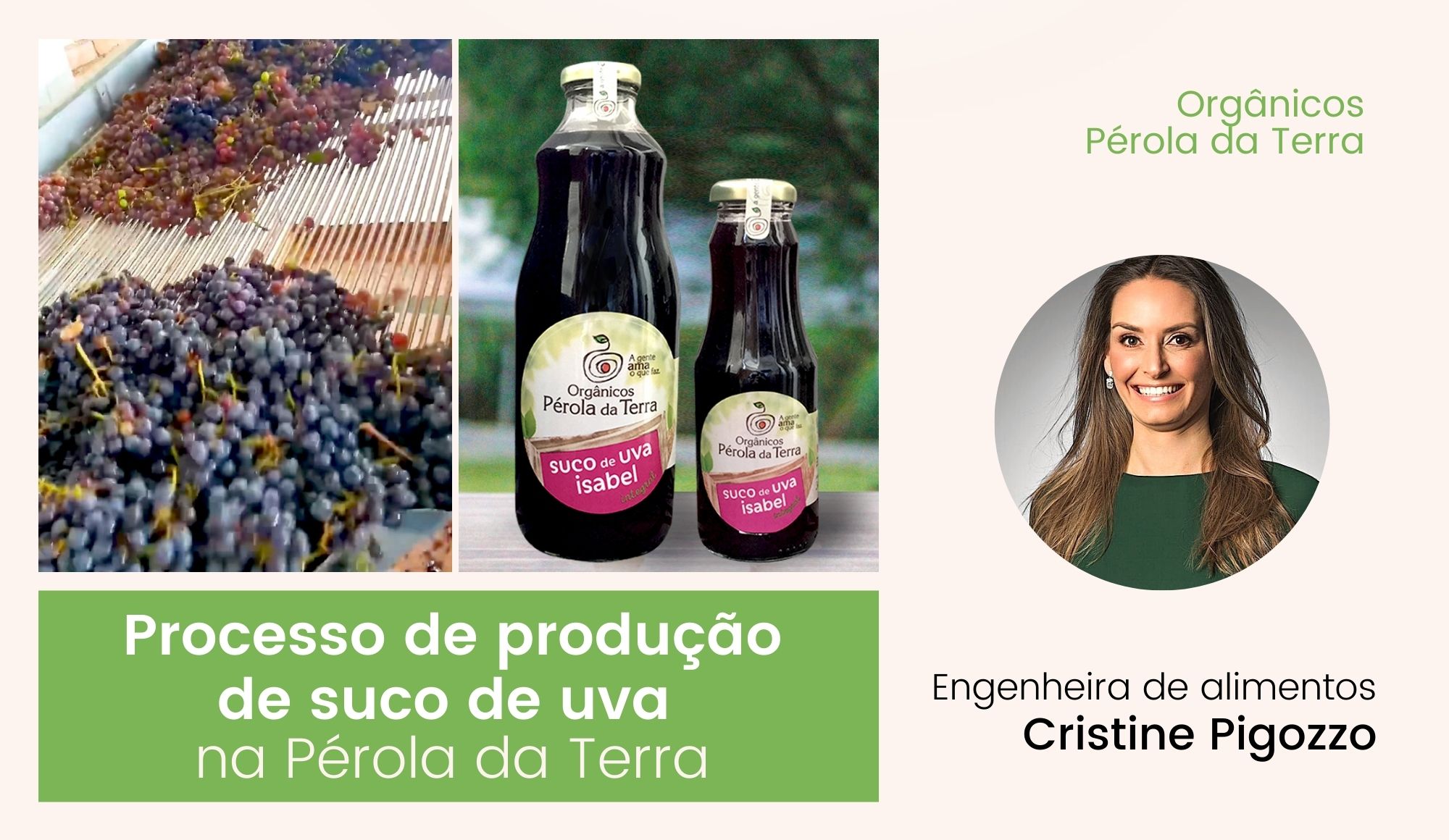 Processo de produção de suco de uva na Pérola da Terra